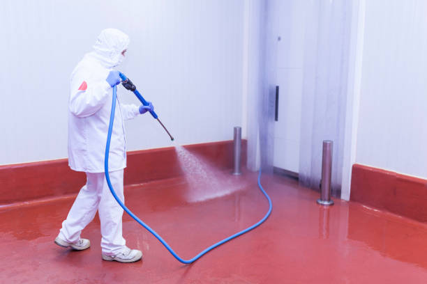 Best Sidewalk and Walkway Cleaning  in Fayetteville, WV