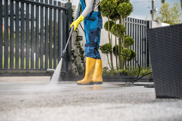 Animal Enclosure Cleaning in Fayetteville, WV